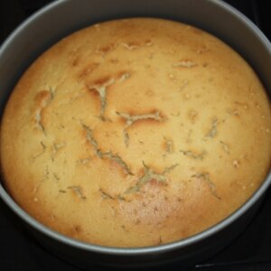 ココナツミルク消費 甘 いココナツミルクケーキ レシピ 作り方 By Maitan0409 楽天レシピ